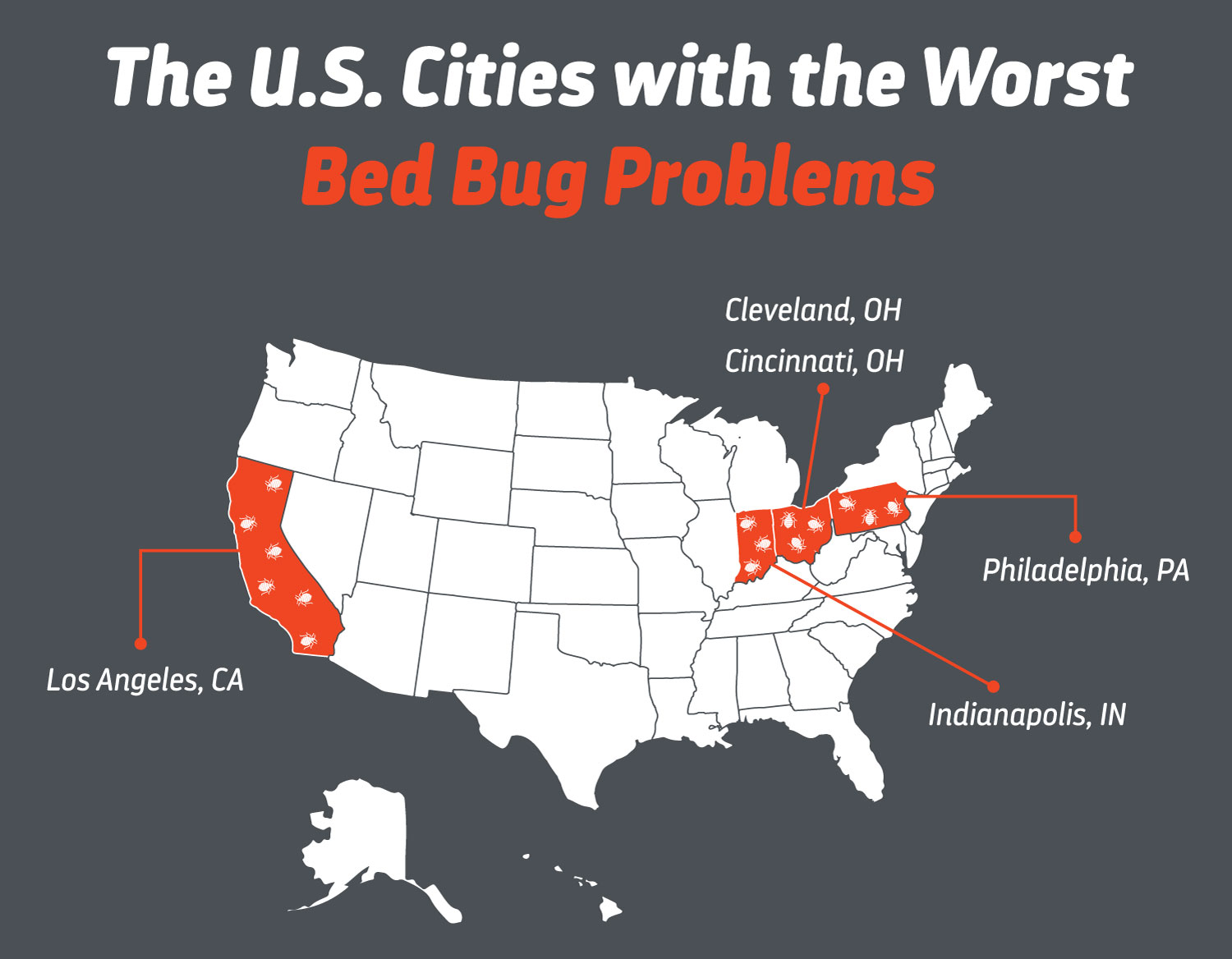 Bug Problem