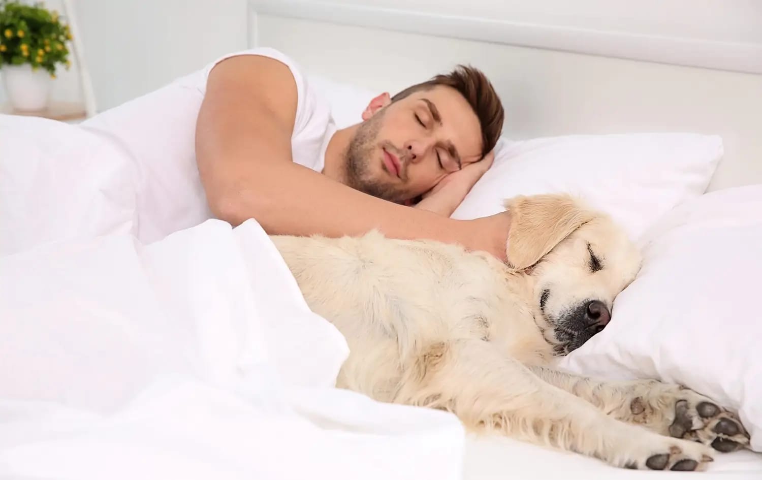 Should a Dog Sleep in Your Bed? Here's What You Should Know