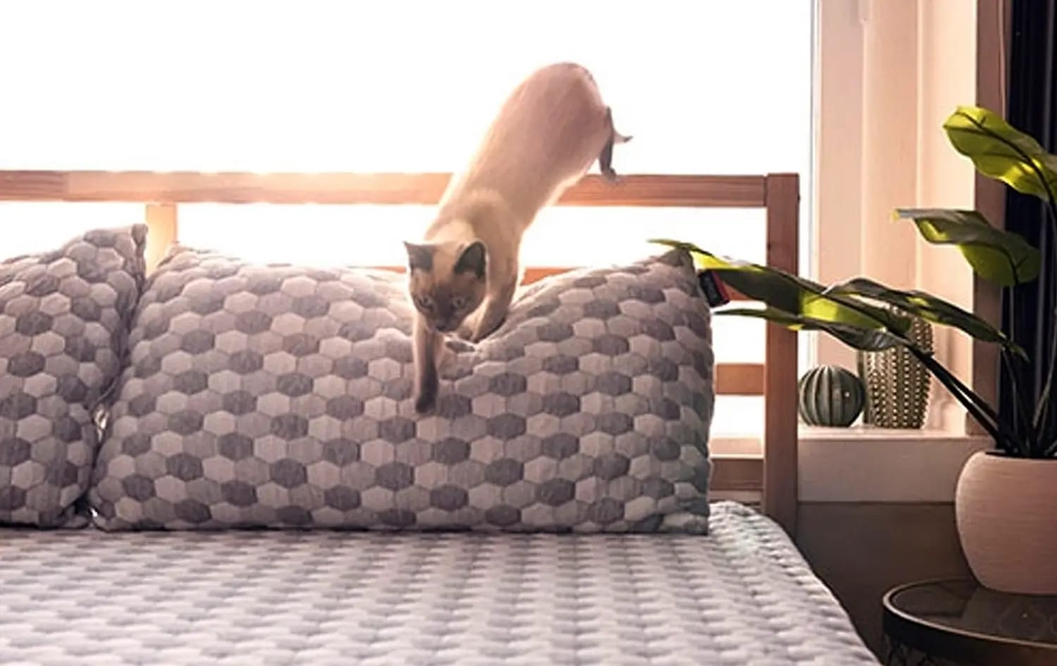 Exercise Before Bed: Is It Good for Your Sleep?