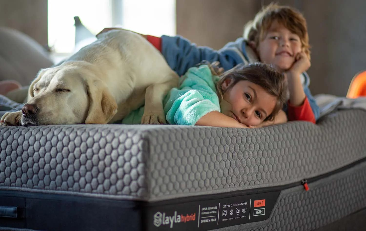 Best Mattresses for Stomach Sleepers Buying Guide