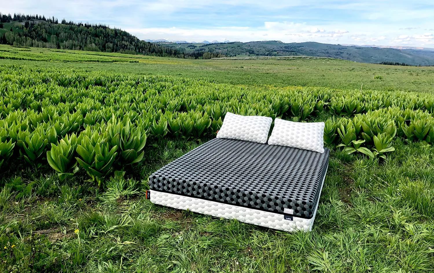 Bed Frames: What They Are & Why You Need One