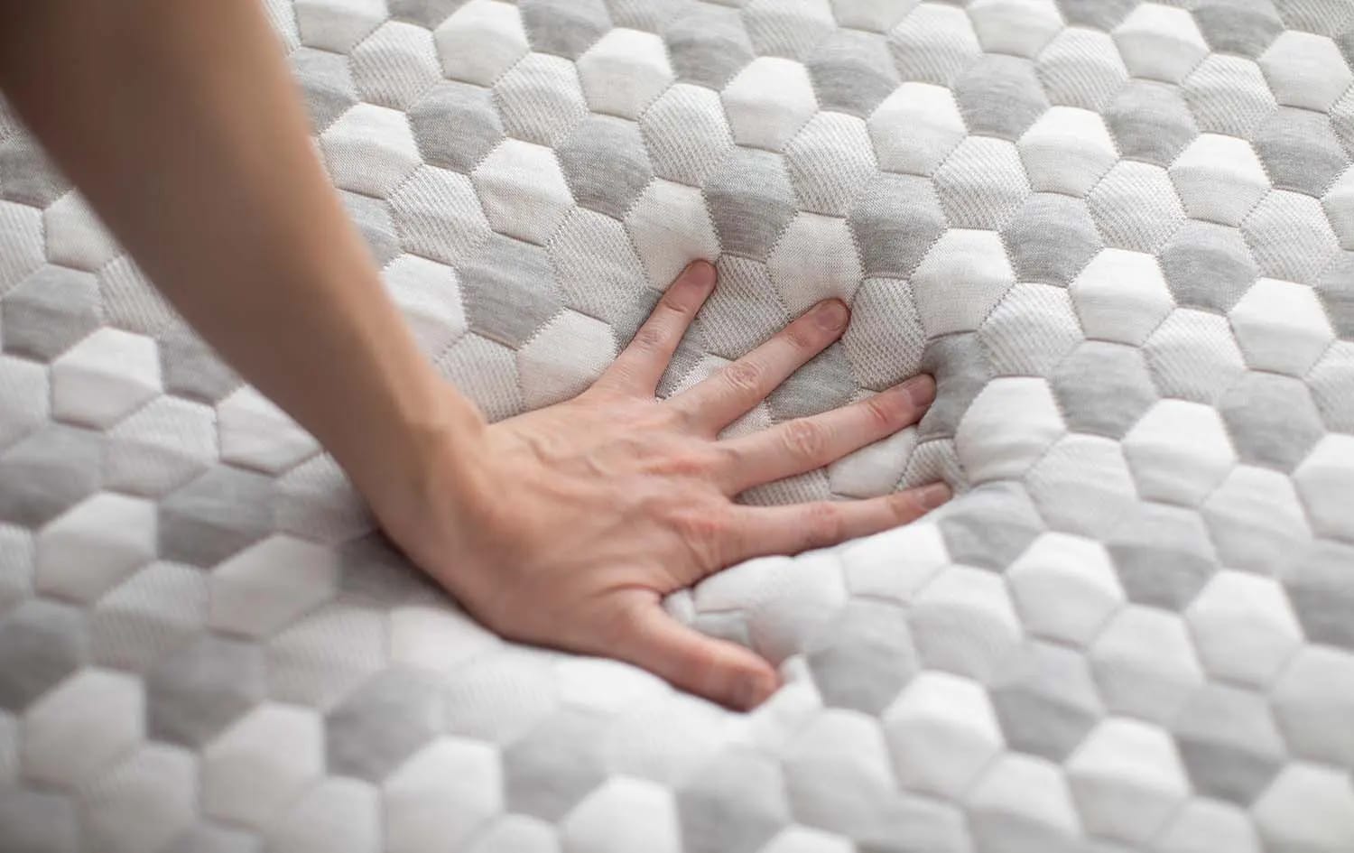 Latex Foam vs. Memory Foam