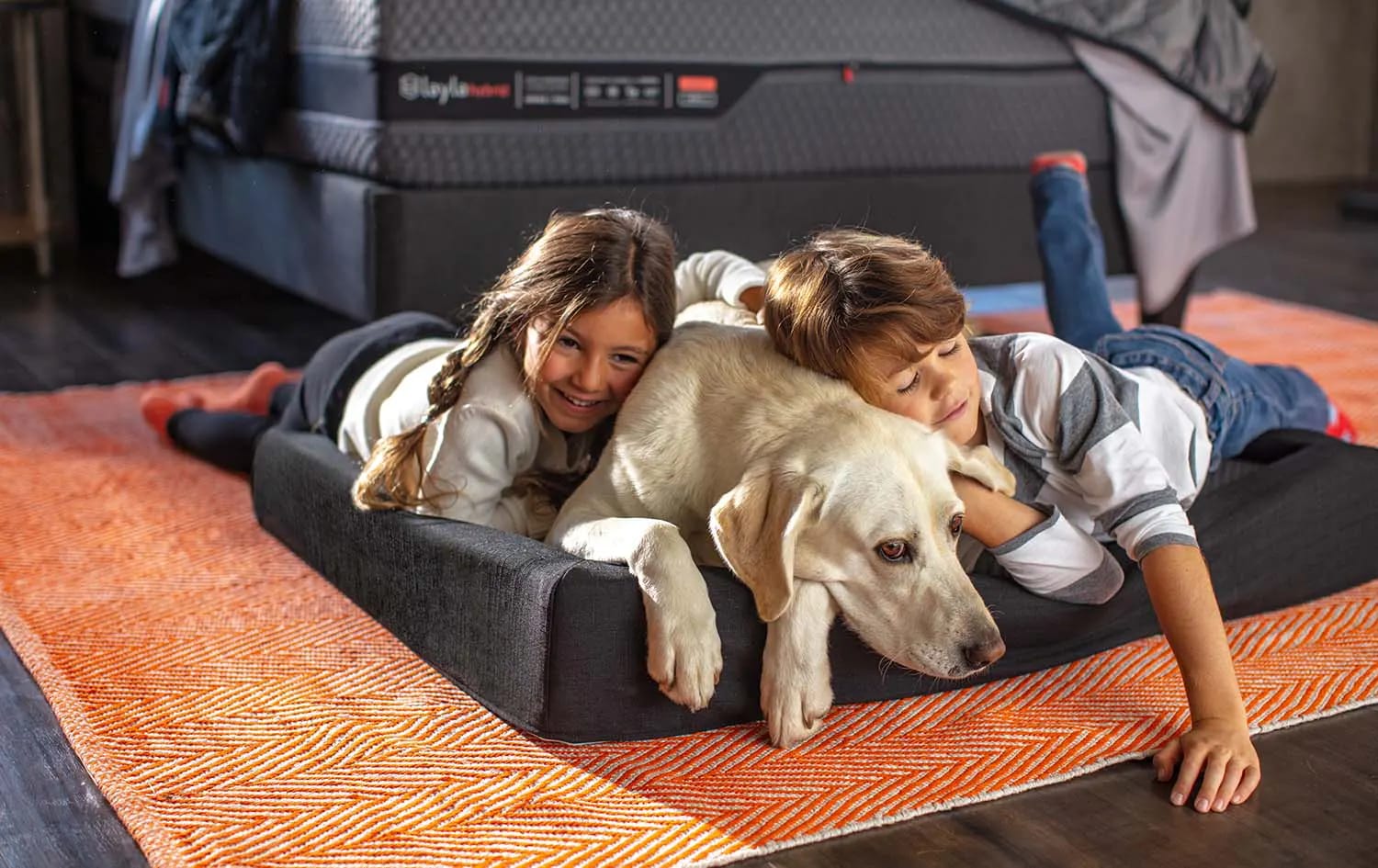 How to Choose the Best Dog Bed