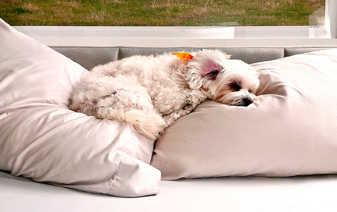 What Is the Best AC Temperature for Sleeping in the Summer?