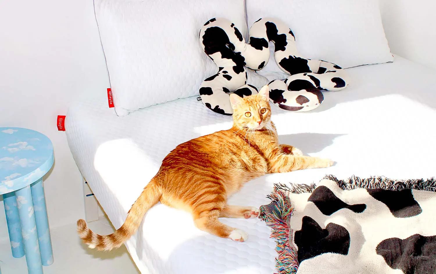 How to Deodorize a Mattress