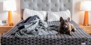 How to Wash a Weighted Blanket
