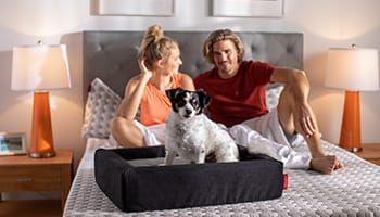 Layla Pet Bed