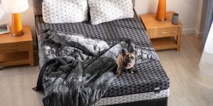 What Are Weighted Blankets Made Of?