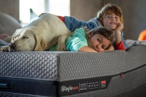 Best Mattresses for Stomach Sleepers Buying Guide