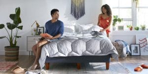 Down vs. Down Alternative: What is Down Alternative?