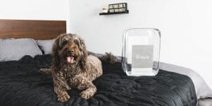 Are Weighted Blankets Hot?