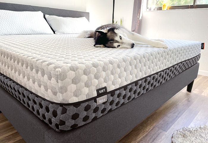 The Best Mattress for Presidents' Day