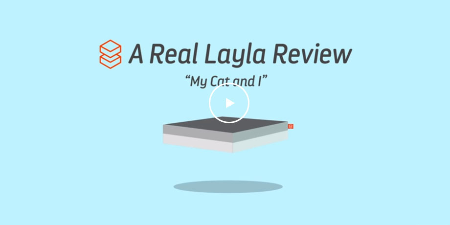 Real Reviews &#8211; My Cat and I