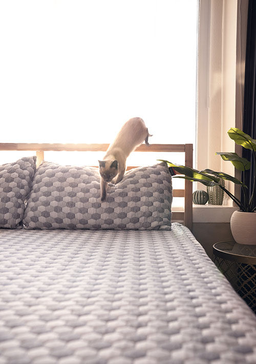 Exercise Before Bed: Is It Good for Your Sleep?