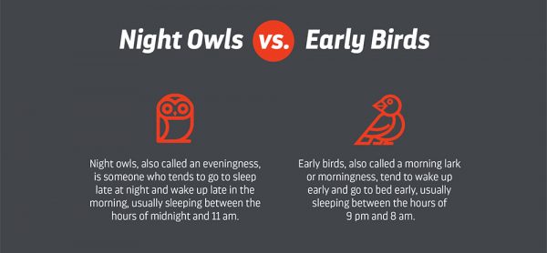 early bird vs night owl meme