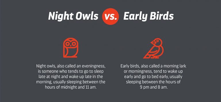 early bird vs late bird
