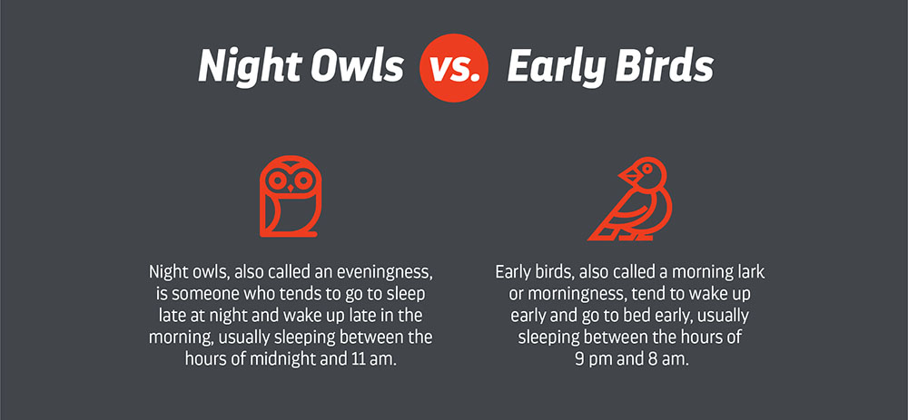 nightowl versus earlybirds