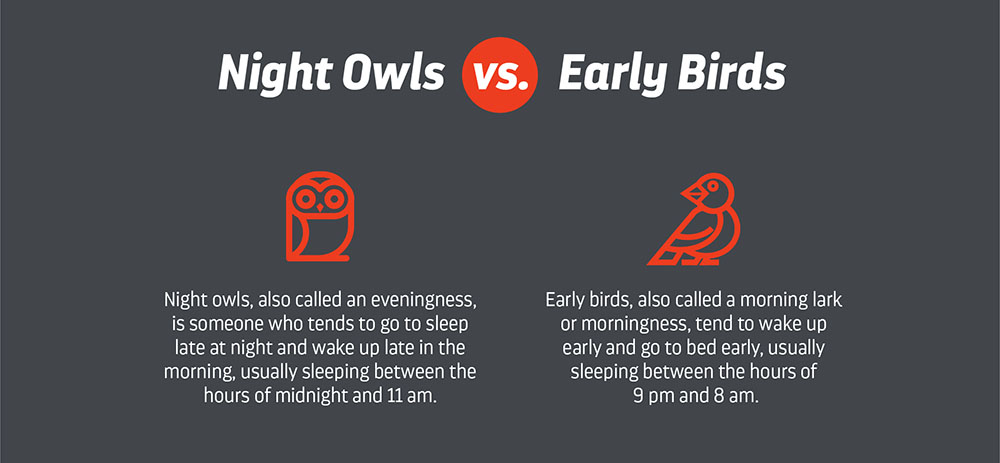 Night Owl Vs Early Birds Differences Of Late Sleepers Early Risers 