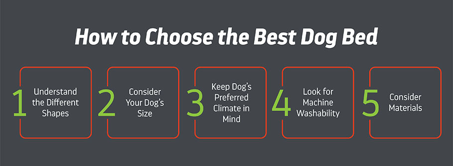 How to Choose the Best Dog Bed