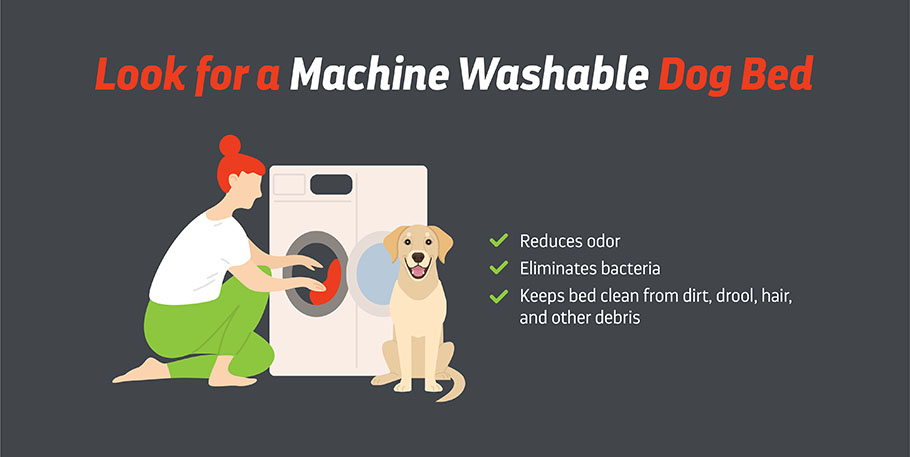 Look for Machine Washability