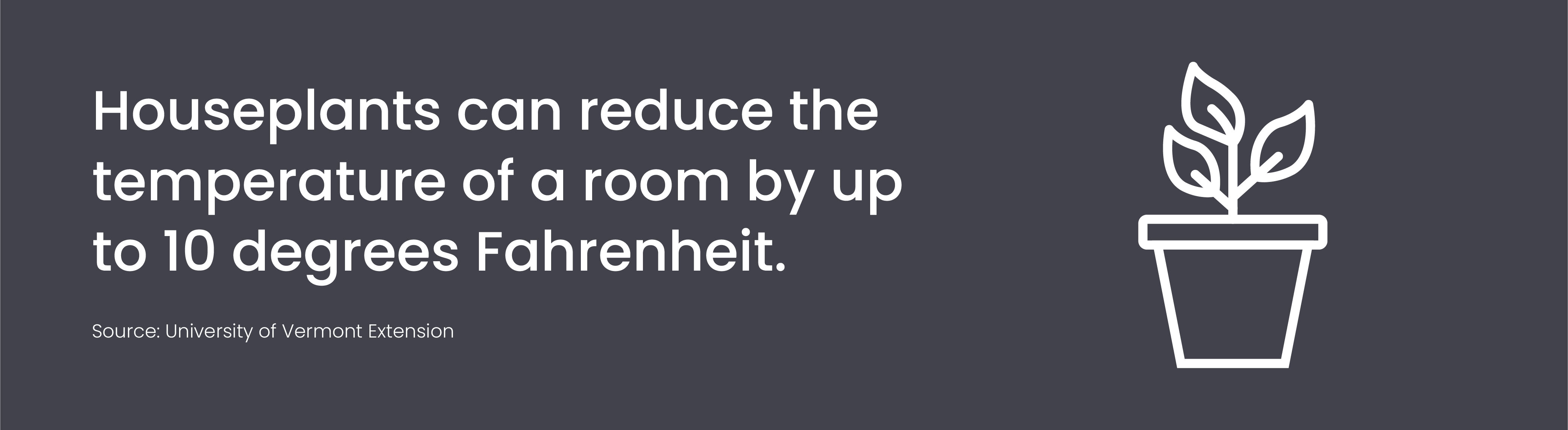 Houseplant Can reduce the temprature of a room by up to 10 degrees