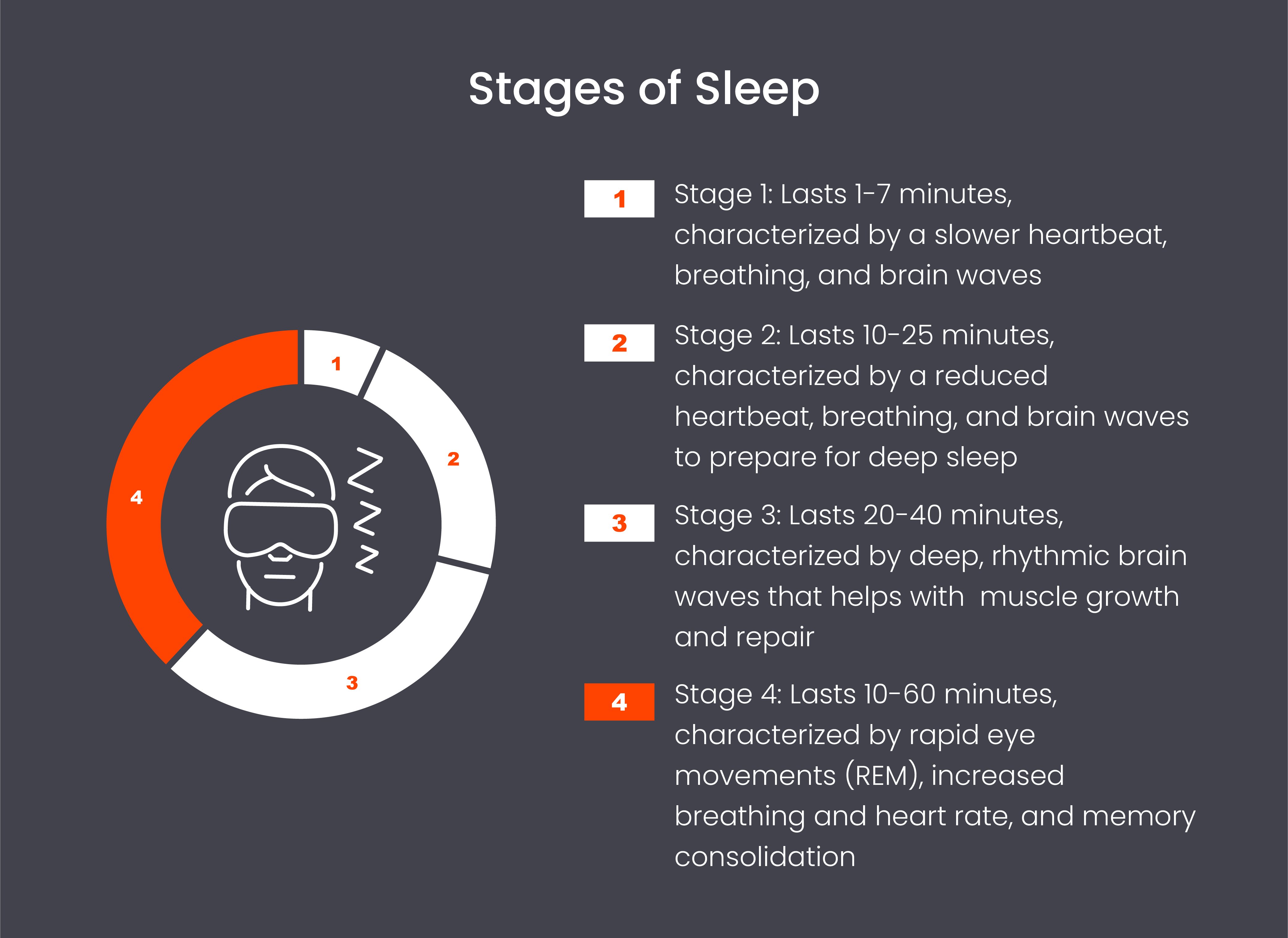 stages of sleep