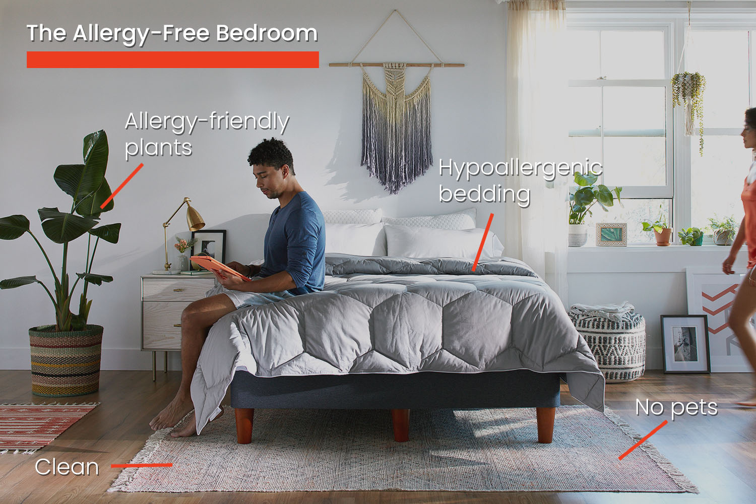 The allergy-free bedroom